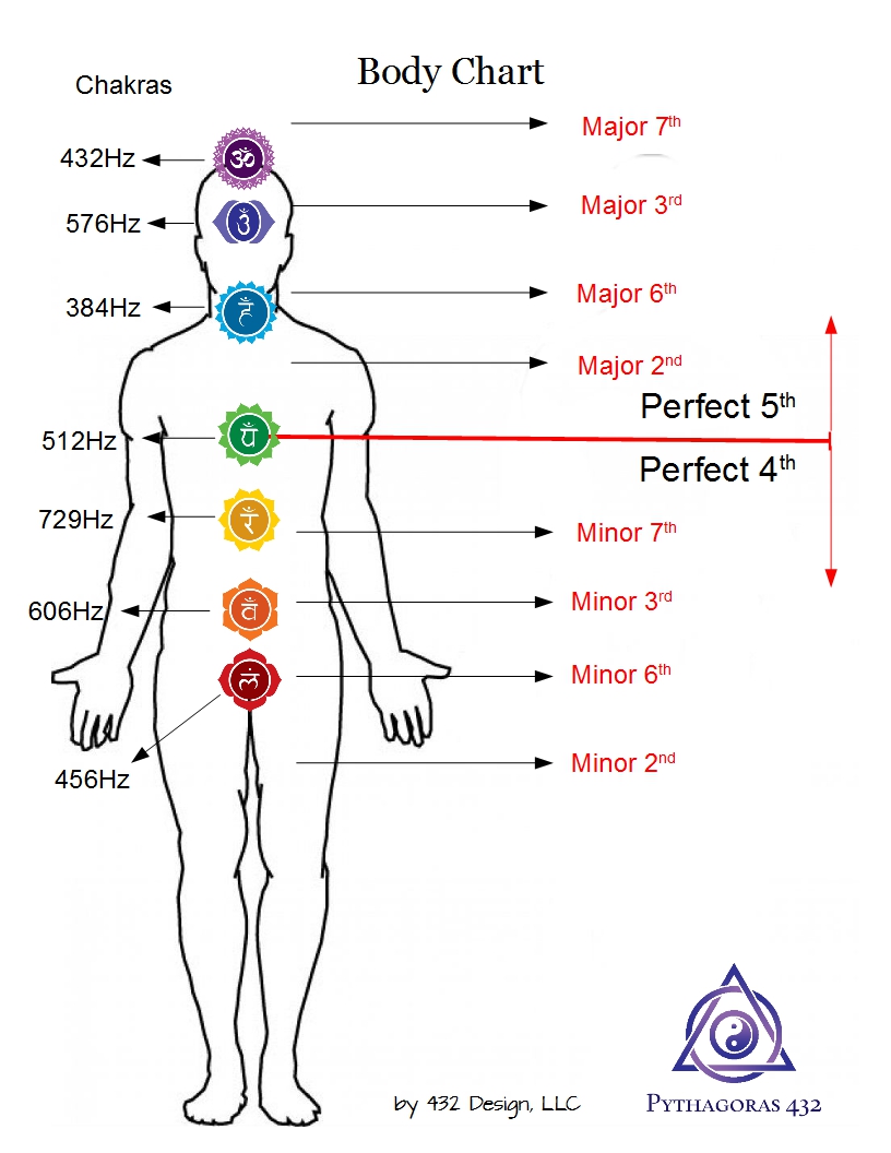 Body Chart